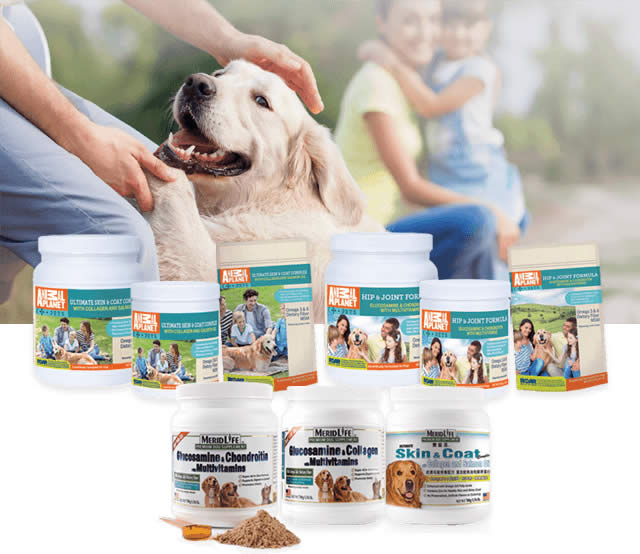 Dog Supplements