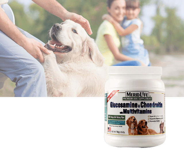 Dog Supplements