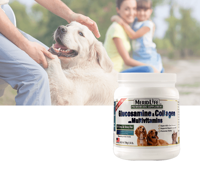 Dog Supplements